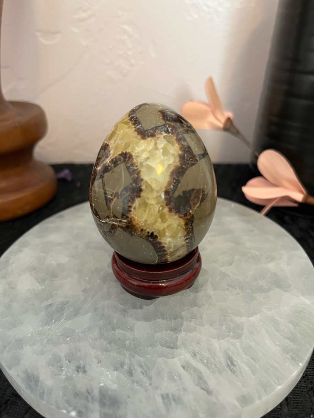 Polished Septarian Egg Decor - Yellow, Brown, Gray